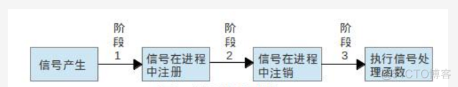 进程间通信五（信号）_子进程_02