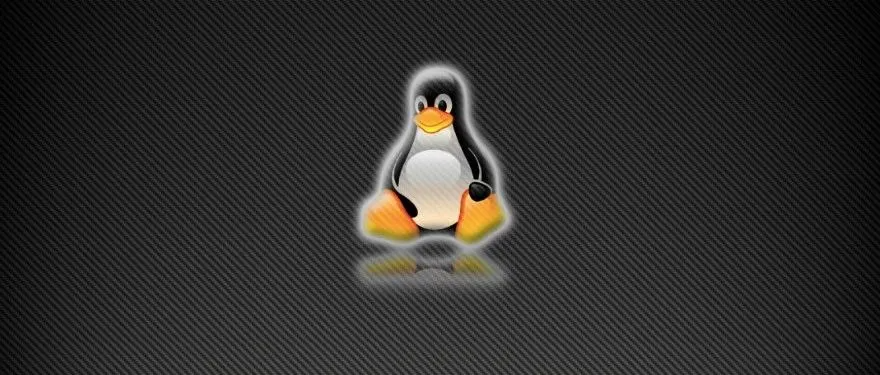 每天学一个 Linux 命令（48）：top_操作系统