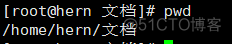 Linux pwd、cd、ls命令_其他
