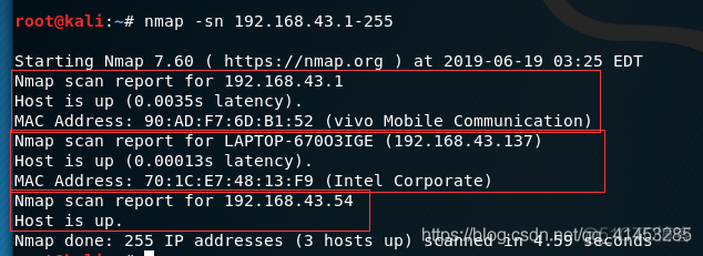 Kali扫描工具Nmap_子网_07