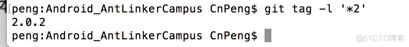 Git--tag 标签_版本控制_02