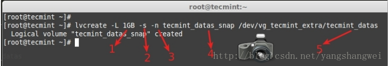 Linux - How to Take ‘Snapshot of Logical Volume and Restore’ in LVM_linux_02