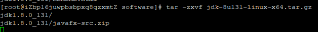 Linux系统下安装jdk与tomcat_linux_10