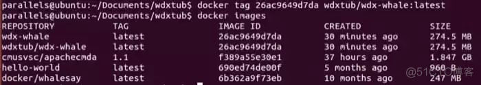 Docker 完全指南_ubuntu_15