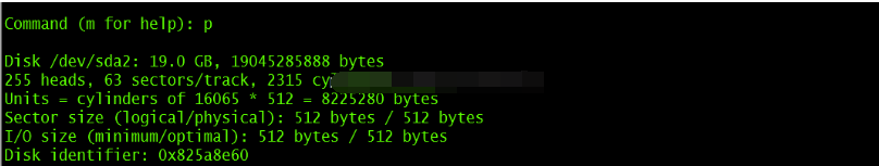 Linux硬盘分区 fdisk 和 parted命令详解_服务器_05