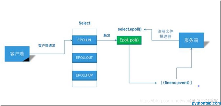 python网络编程——IO多路复用之epoll_文件描述符