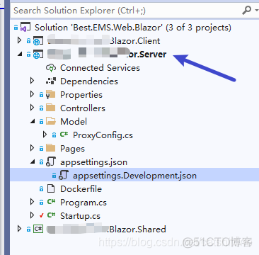 【Blazor】解决Blazor WebAssembly跨域访问后台服务问题_代理