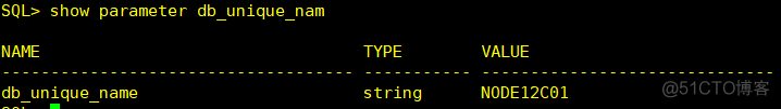 oracle12C--DG FAR SYNC 部署(前提为搭建好12C的DG)_hive_23