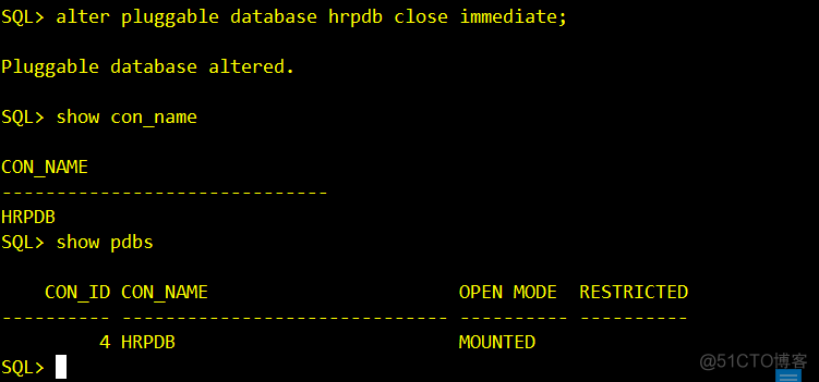 ORACLE--12C--创建PDB_应用程序_11