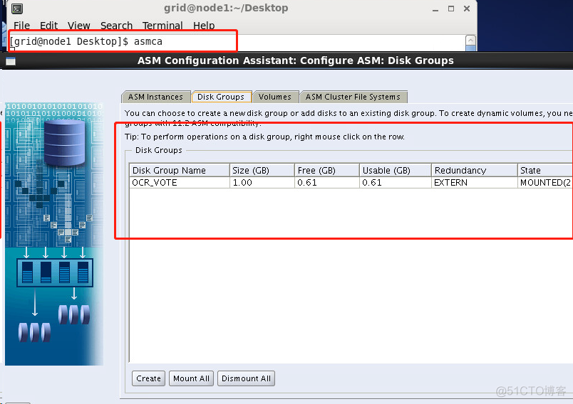 Oracle RAC集群搭建(六)--ASM创建oradata的磁盘组_Oracle_05