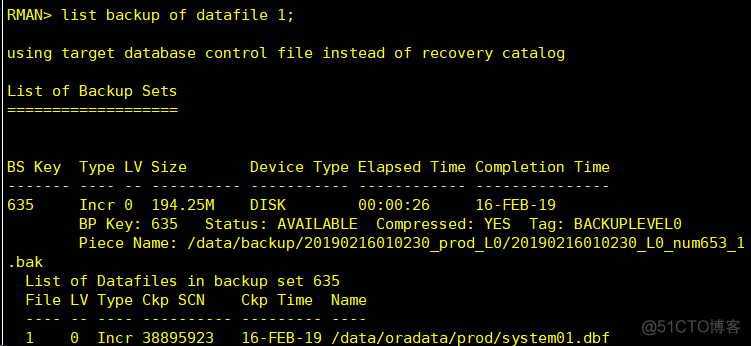 oracle 备份恢复篇(一)---rman_oracle_06