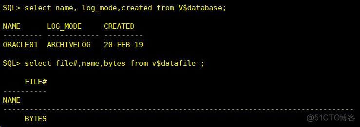 oracle 基础知识(七)----动态性能视图_sql_19