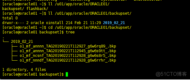 oracle 单实例DG(配置篇二)_oracle_20