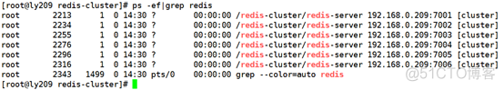 Redis学习之实际操作_redis_04