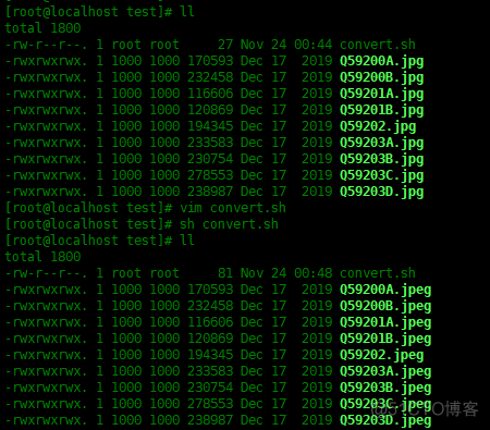 Linux系统中的basename命令使用实例_centos_06