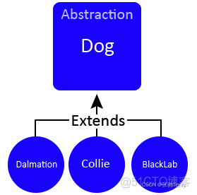 OOP 设计模式：接口与类的封装和重写(override)以及重载(overload)_typescript_02