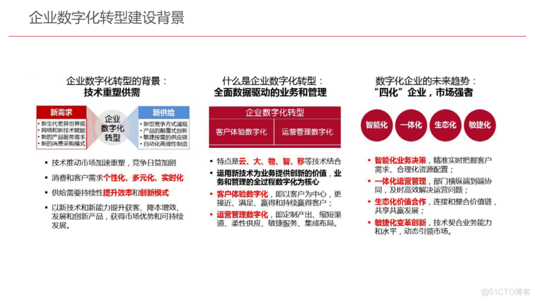 企业数字化转型规划设计（107页满分资料附PDF下载）_python_06