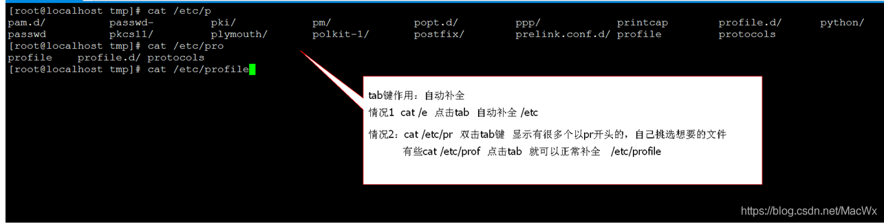 Linux 常用基本命令总结_文件名_04