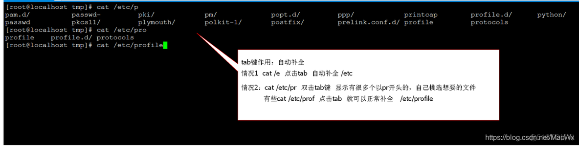 Linux 常用基本命令总结_txt文件_04