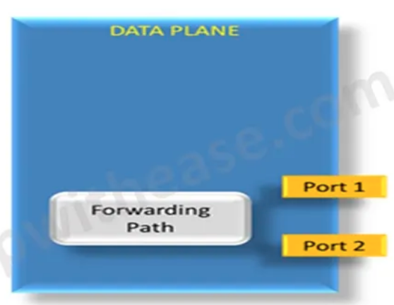 CONTROL PLANE AND DATA PLANE_sed_02