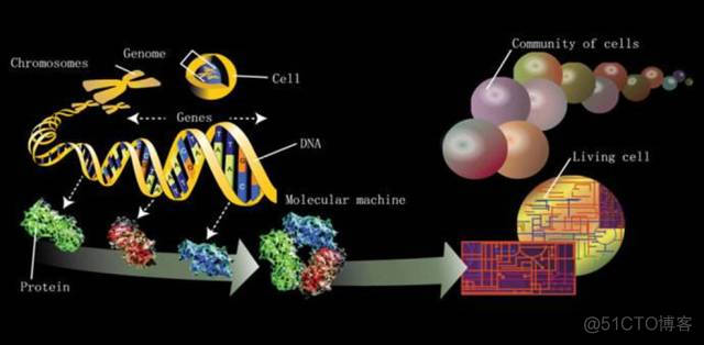 Science发布：全世界最前沿的125个科学问题_系统对_60