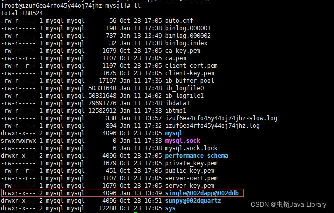 InnoDB 独立表空间与共享表空间_原力计划