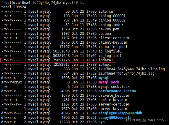 InnoDB 独立表空间与共享表空间_数据库_02