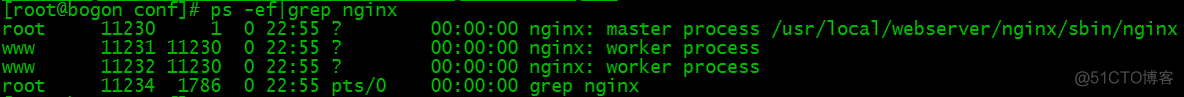 Linux安装配置Nginx服务器_nginx_04