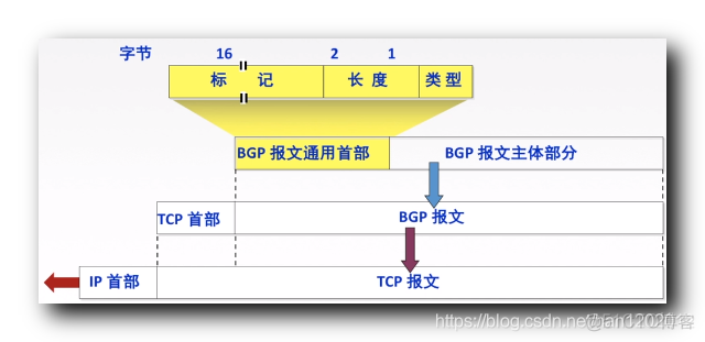 【计算机网络】网络层 :  BGP 协议 ( BGP 协议简介 | BGP 协议信息交换 | BGP 协议报文格式 | BGP-4 常用报文 | RIP 、OSPF、BGP 协议对比 )_RIP OSPF BGP 对比_02