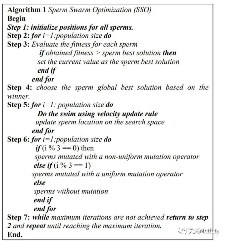 【智能优化算法】基于精子群优化算法求解单目标优化问题含Matlab源码_随机数_11