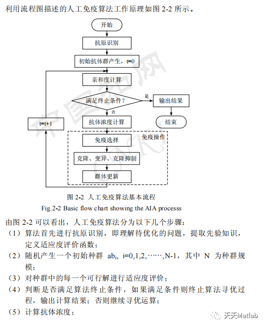 【智能优化算法】基于免疫算法求解单目标优化问题附matlab代码_神经网络