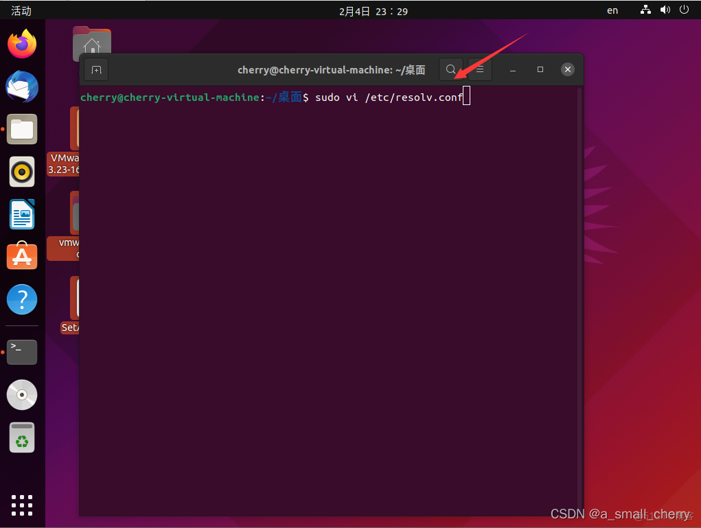 Ubuntu21.10配置阿里云DNS_ubuntu