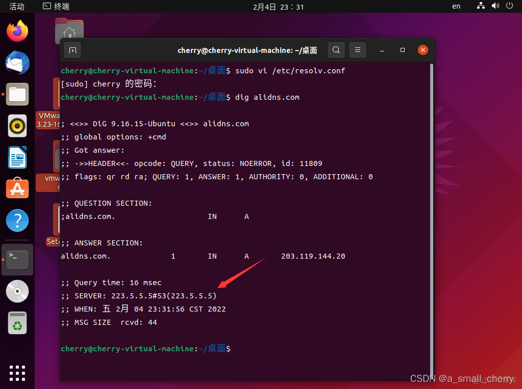 Ubuntu21.10配置阿里云DNS_ubuntu_05