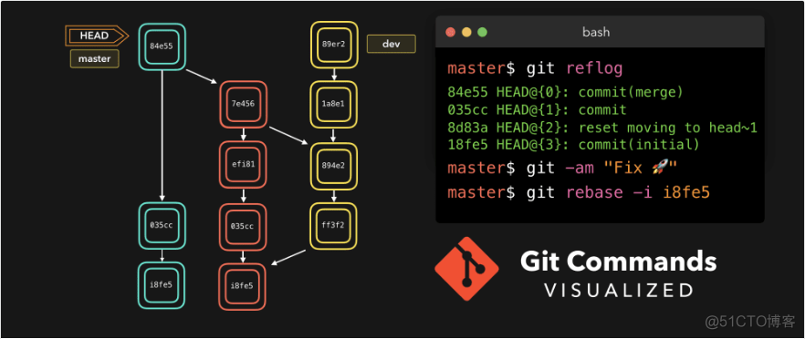 小姐姐用动图展示 10 大 Git 命令_git