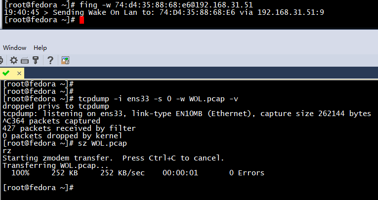 网络扫描利器Fing之Linux版本使用教程_ide_18