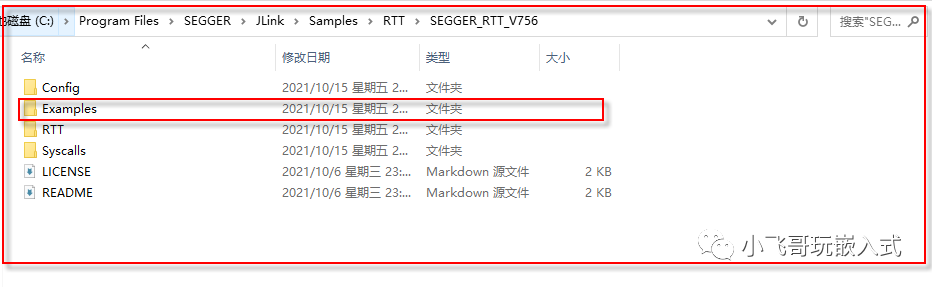 十分钟让你的JLINK成为调试利器_浮点数_10