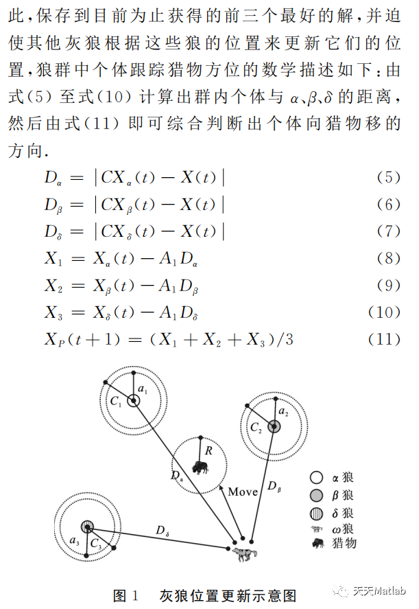 【智能优化算法】基于改进非线性收敛因子灰狼优化算法求解单目标优化问题附matlab代码_matlab代码_02