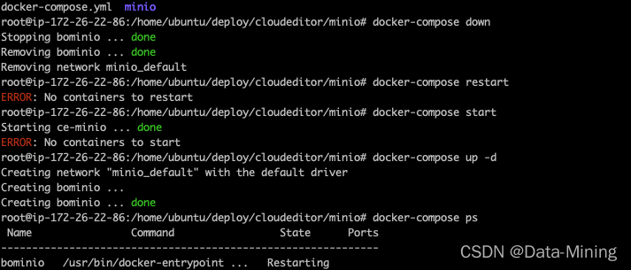 #yyds干货盘点#关于 docker-compose stop 和 docker-compose start 的误解_可执行程序_02