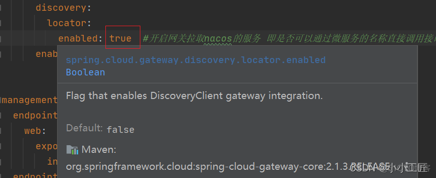 Spring Cloud Alibaba - 23 Gateway初体验_gateway_09