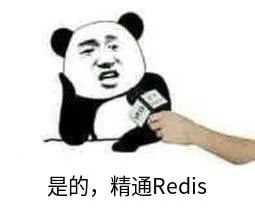 关于 Redis ，这里有你不知道的知识_数据