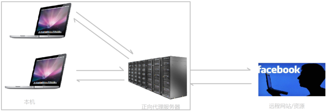 Nginx是什么 ? 能干嘛 ？_反向代理