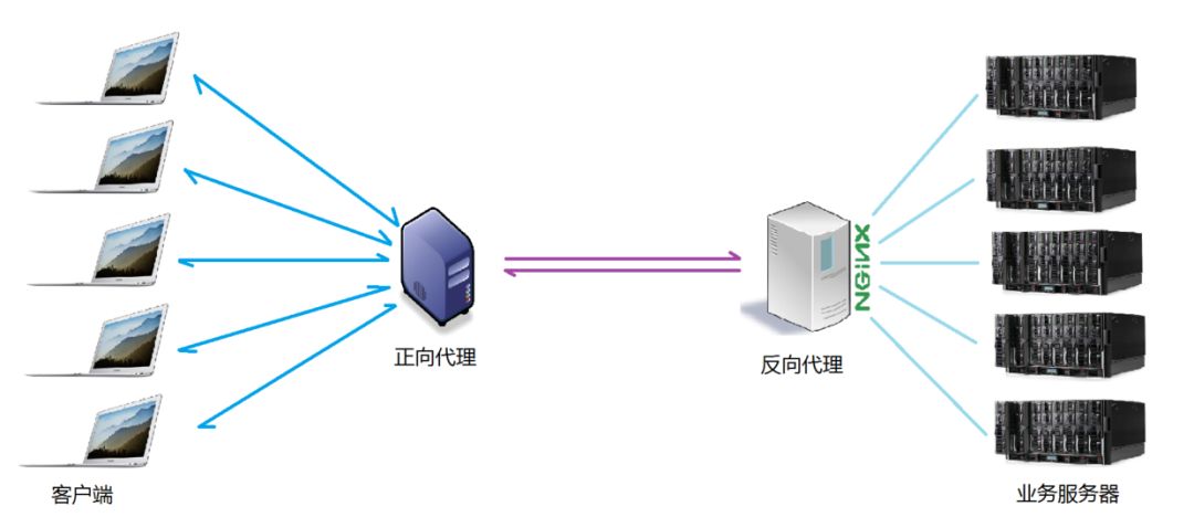 看完这篇还不了解Nginx，你来找我！_反向代理_04