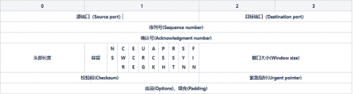 这就是TCP？_transmission