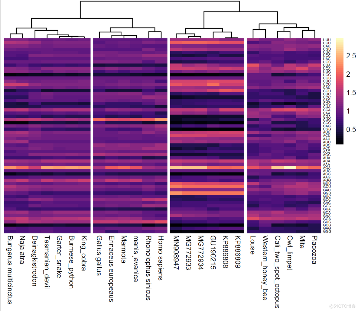 跟着Nature microbiology学画图:R语言pheatmap包画热图展示密码子RSCU值_数据分析_03