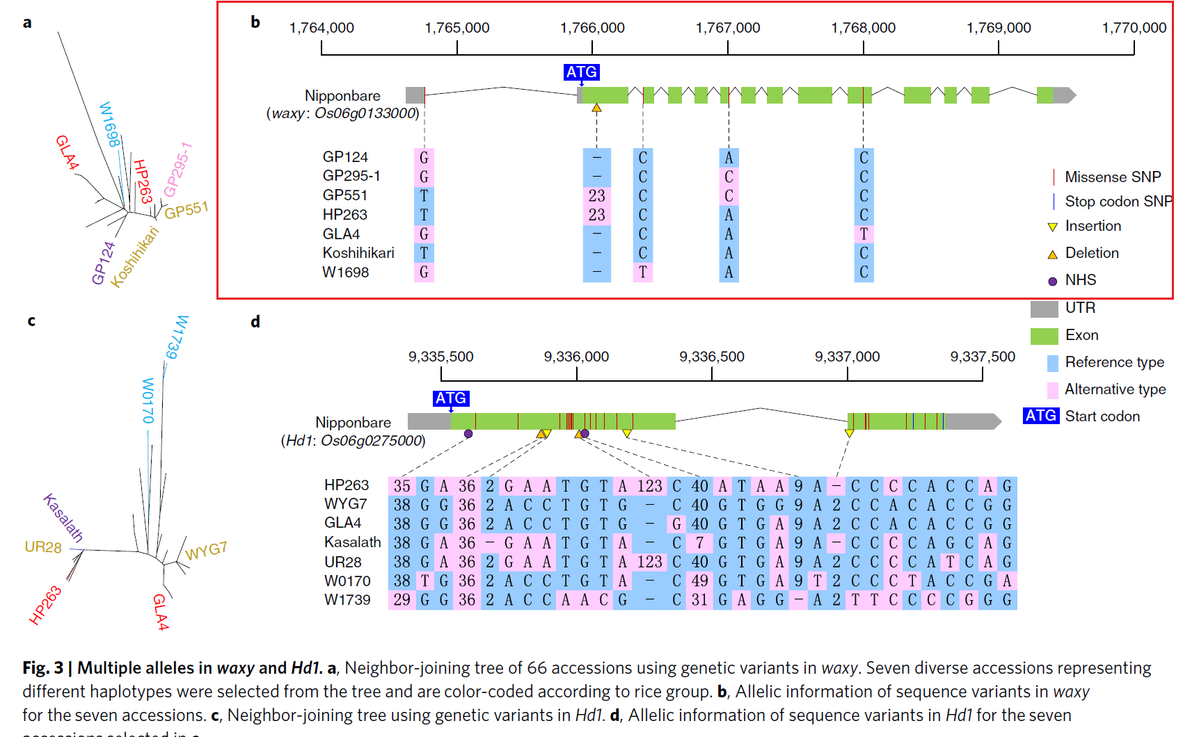 跟着Nature Genetics学画图：R语言ggbio包画基因结构图_数据分析_02