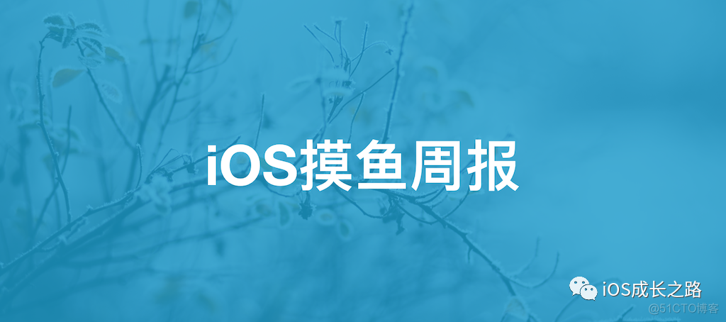 iOS摸鱼周报 第四期_ios