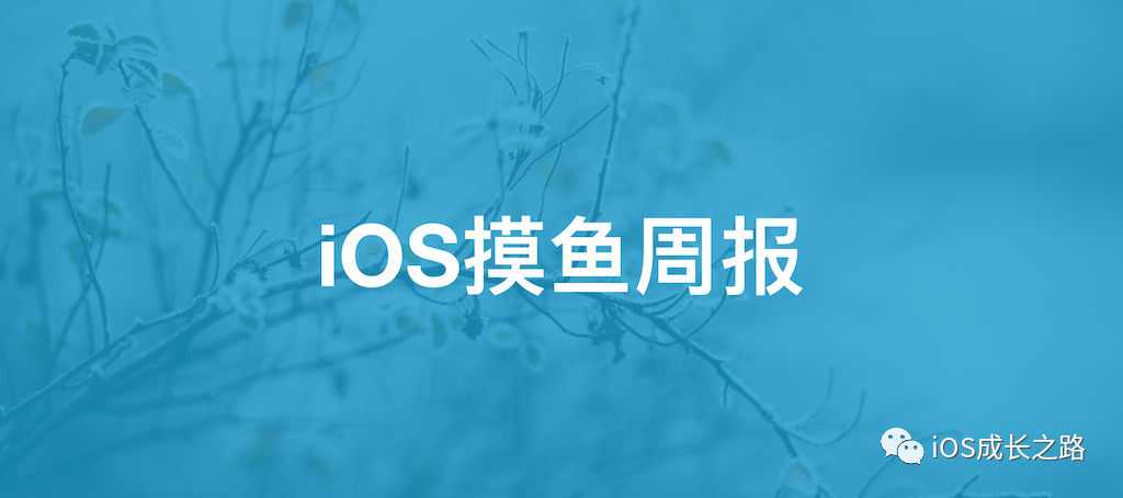 iOS摸鱼周报 第二期_ios