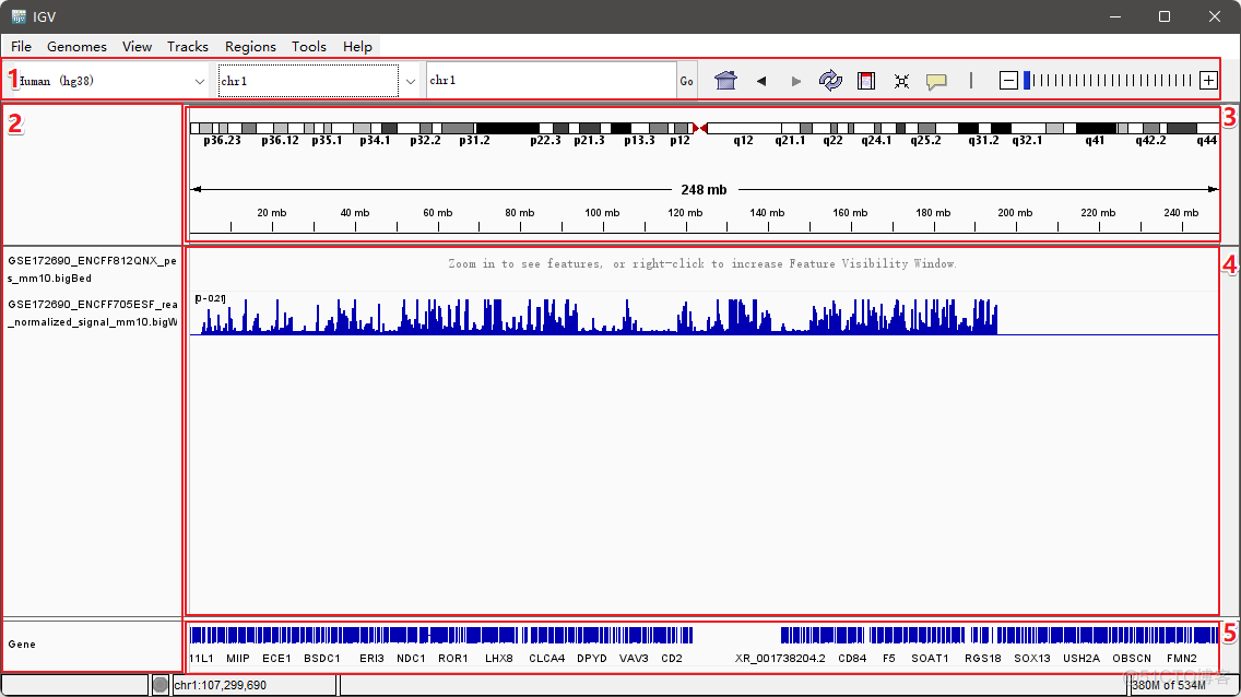 保姆级 IGV 基因组浏览器使用指南（图文详解）_基因组_08