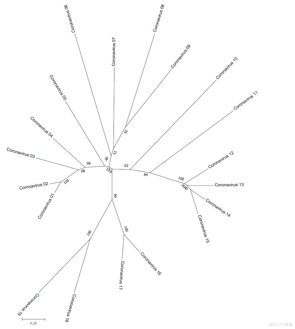 一文读懂进化树（图文详解）_序列比对_05