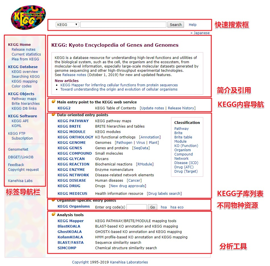 一文极速读懂 KEGG 数据库_生物学